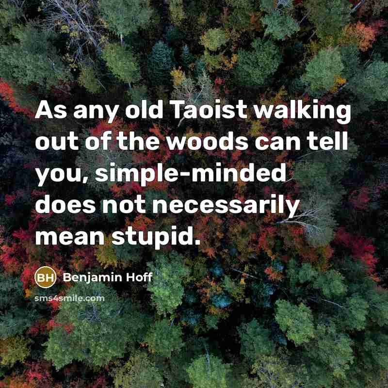 “As any old Taoist walking out of the woods can…” quote by Benjamin Hoff