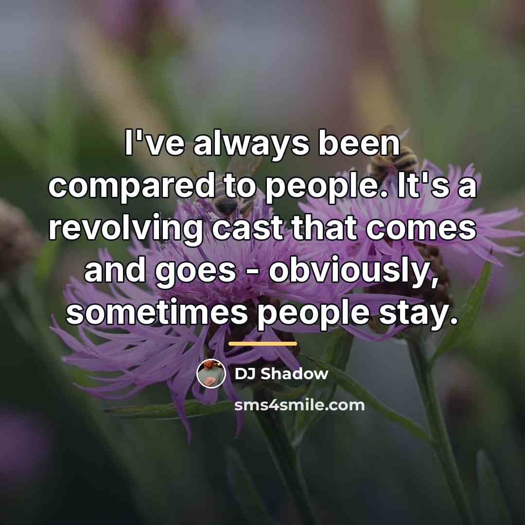 “I've always been compared to people. It's a revolving cast…” quote by DJ Shadow