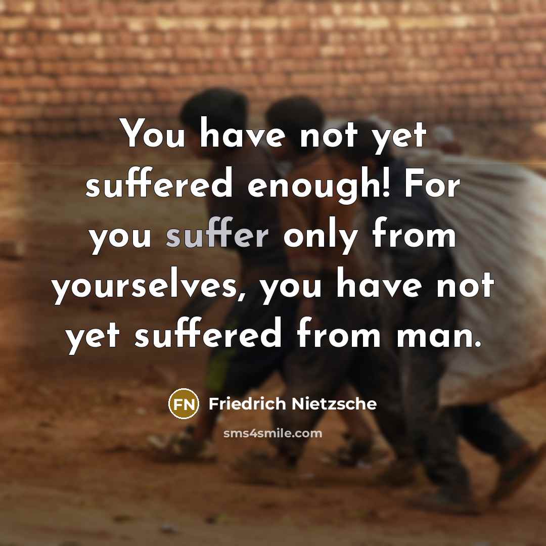 “You have not yet suffered enough! For you suffer only…” quote by Friedrich Nietzsche