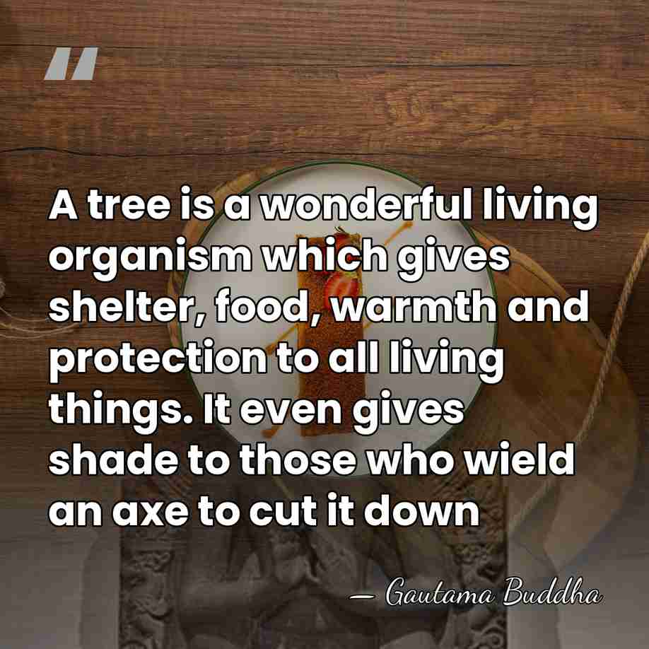 A tree is a wonderful living organism which gives shelter, food, warmth&hellip; - Gautama Buddha