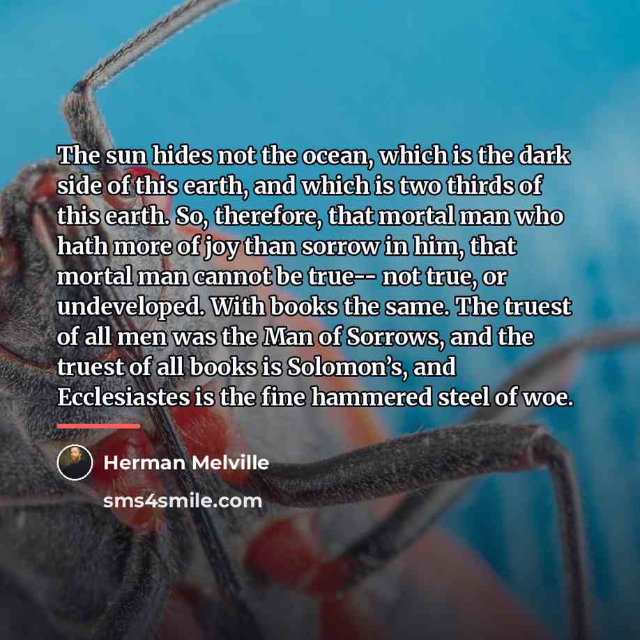 “The sun hides not the ocean, which is the dark…” quote by Herman Melville