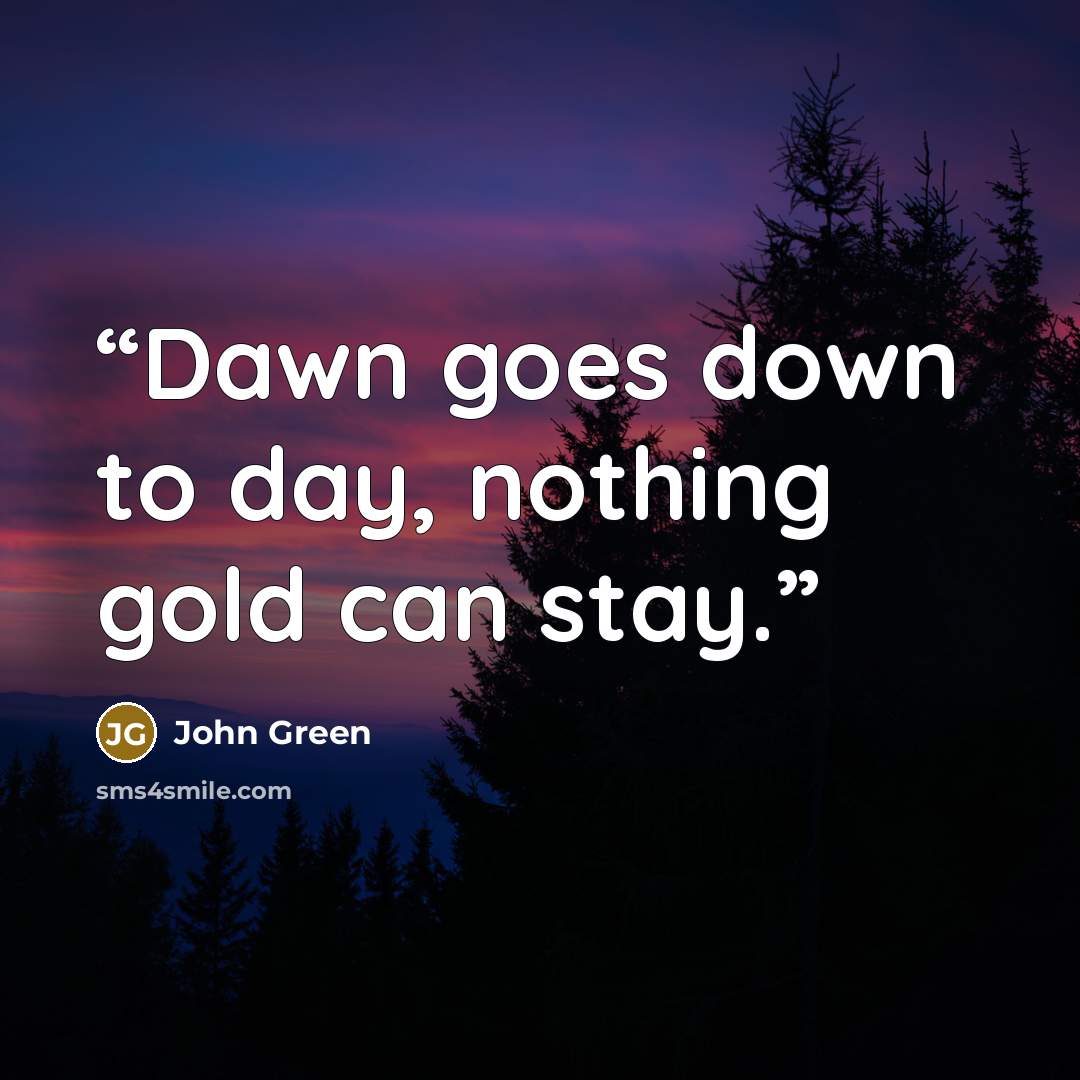 “Dawn goes down to day, nothing gold can stay.” quote by John Green