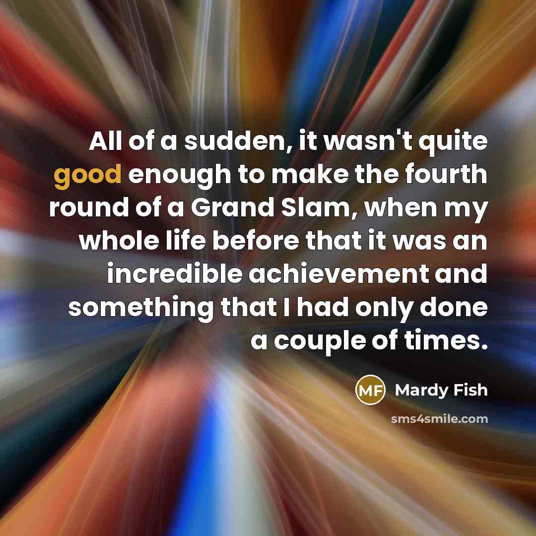 “All of a sudden, it wasn't quite good enough to…” quote by Mardy Fish