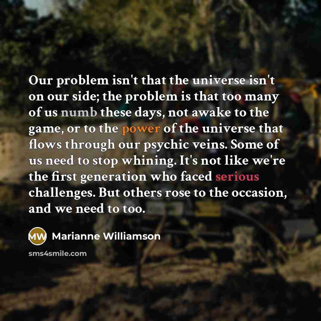 “Our problem isn't that the universe isn't on our side;…” quote by Marianne Williamson