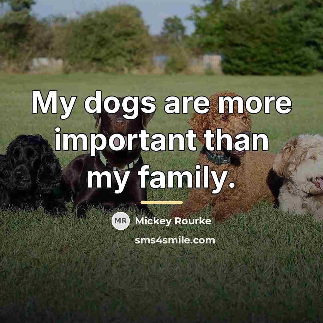“My dogs are more important than my family.…” quote by Mickey Rourke