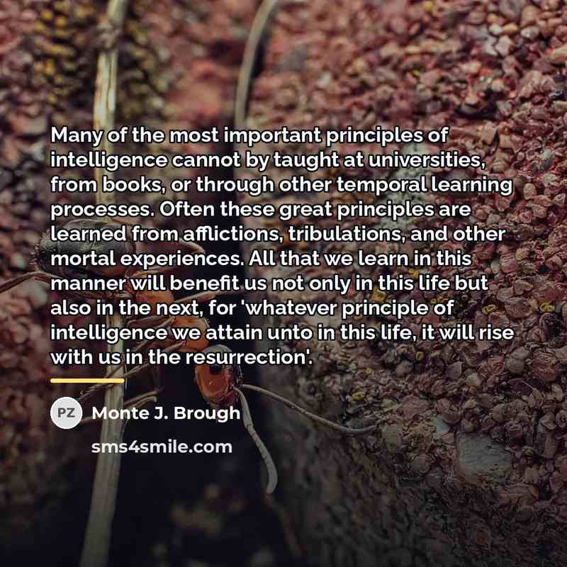 “Many of the most important principles of intelligence cannot by…” quote by Monte J. Brough