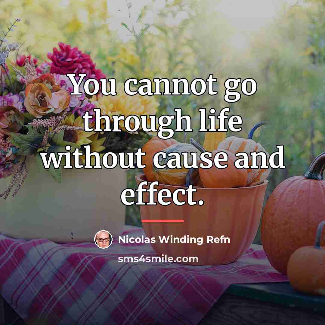 “You cannot go through life without cause and effect.…” quote by Nicolas Winding Refn