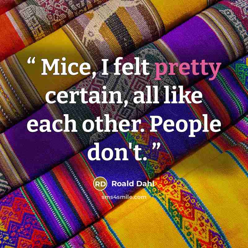 “Mice, I felt pretty certain, all like each other. People don't.” quote by Roald Dahl