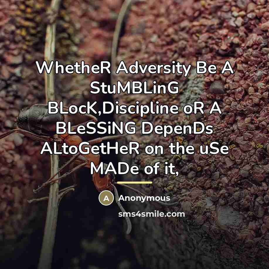 “WhetheR Adversity Be A StuMBLinG BLocK,Discipline oR A BLeSSiNG DepenDs…” quote by Anonymous