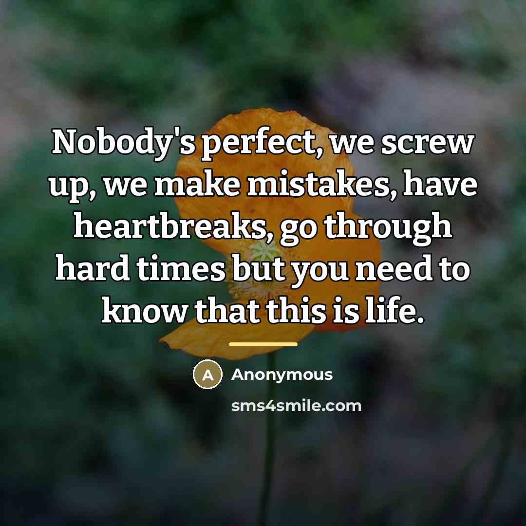 “Nobody's perfect, we screw up, we make mistakes, have heartbreaks,…” quote by Anonymous