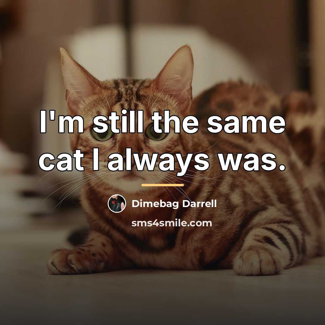 “I'm still the same cat I always was.…” quote by Dimebag Darrell