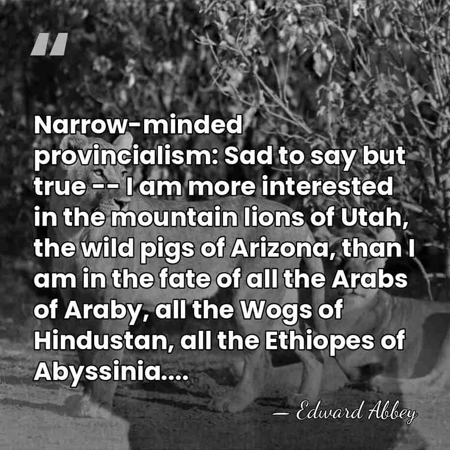 Narrow-minded provincialism: Sad to say but true -- I am more interested&hellip; - Edward Abbey