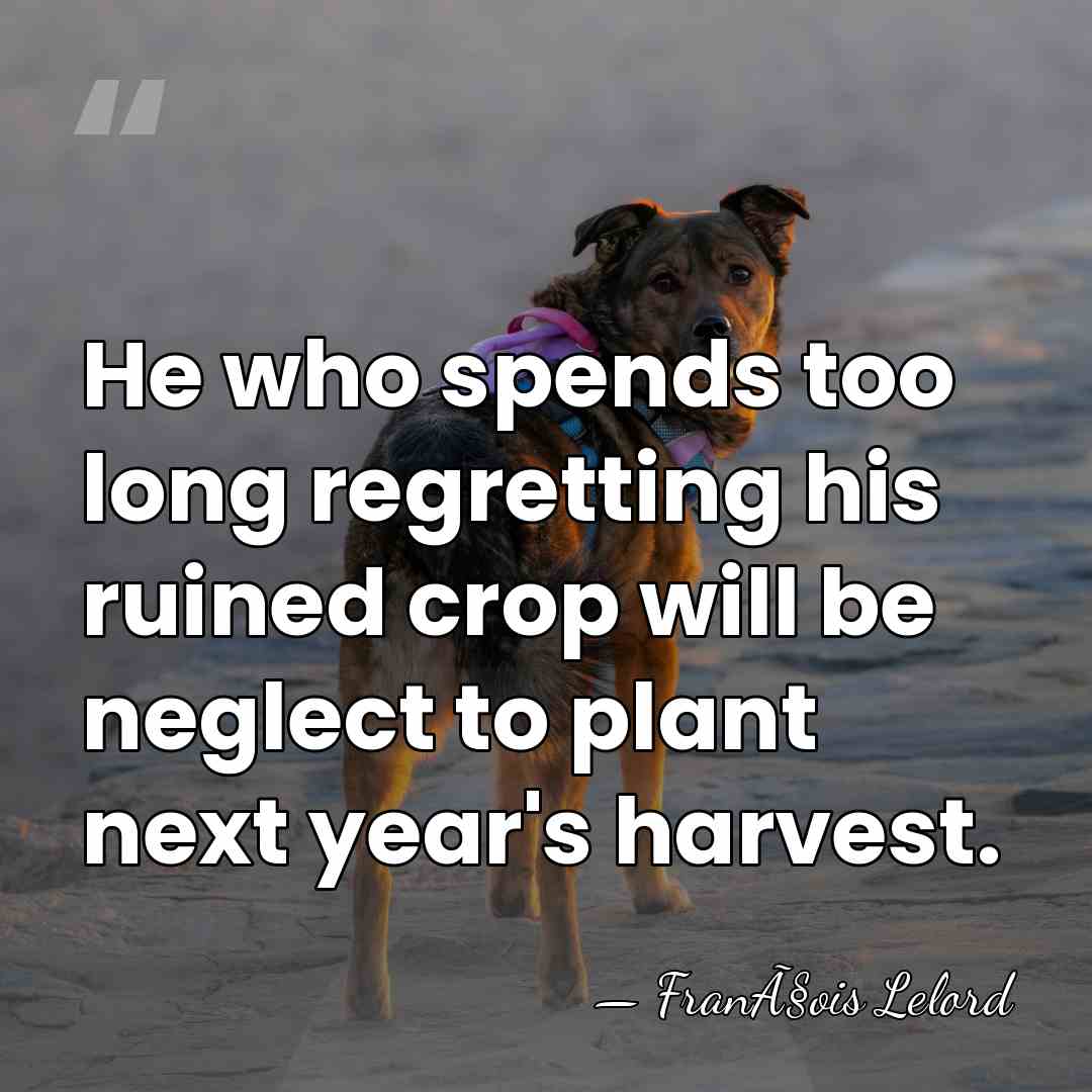 He who spends too long regretting his ruined crop will be neglect&hellip; - FranÃ§ois Lelord