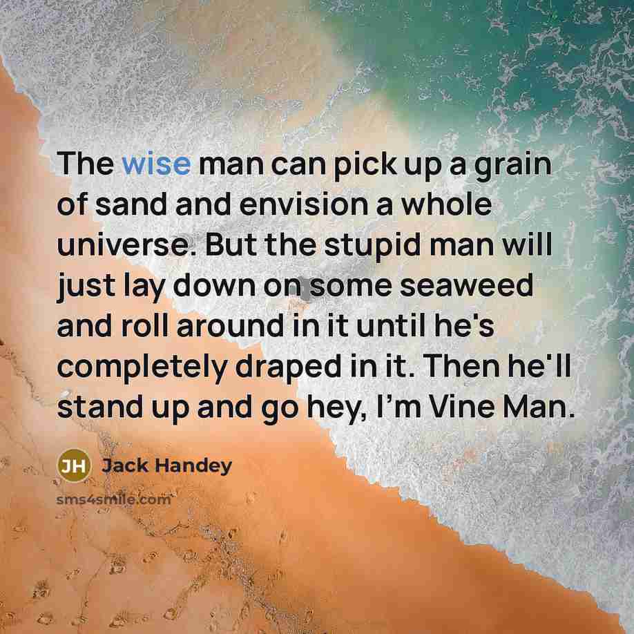 “The wise man can pick up a grain of sand…” quote by Jack Handey