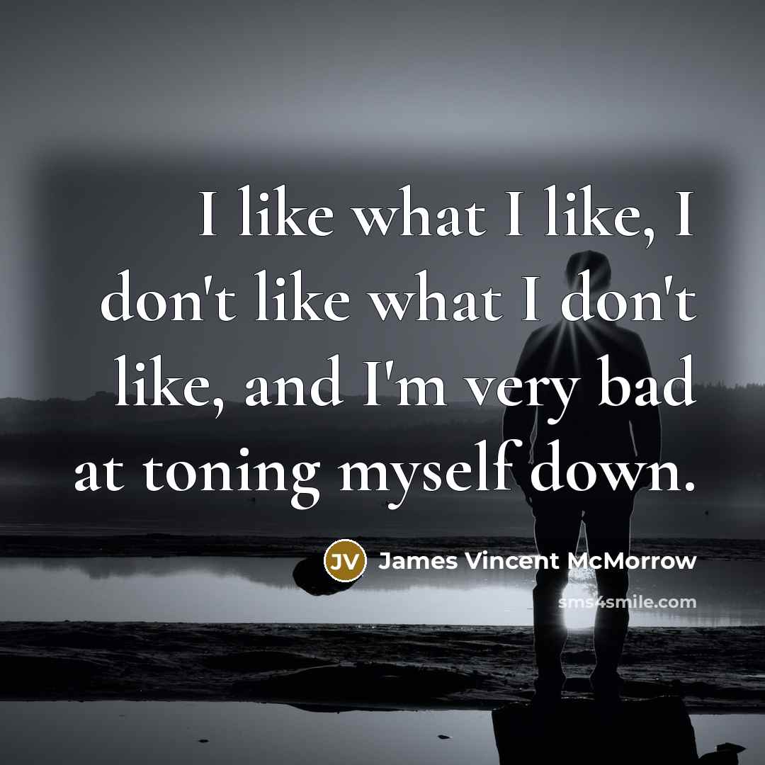 “I like what I like, I don't like what I…” quote by James Vincent McMorrow