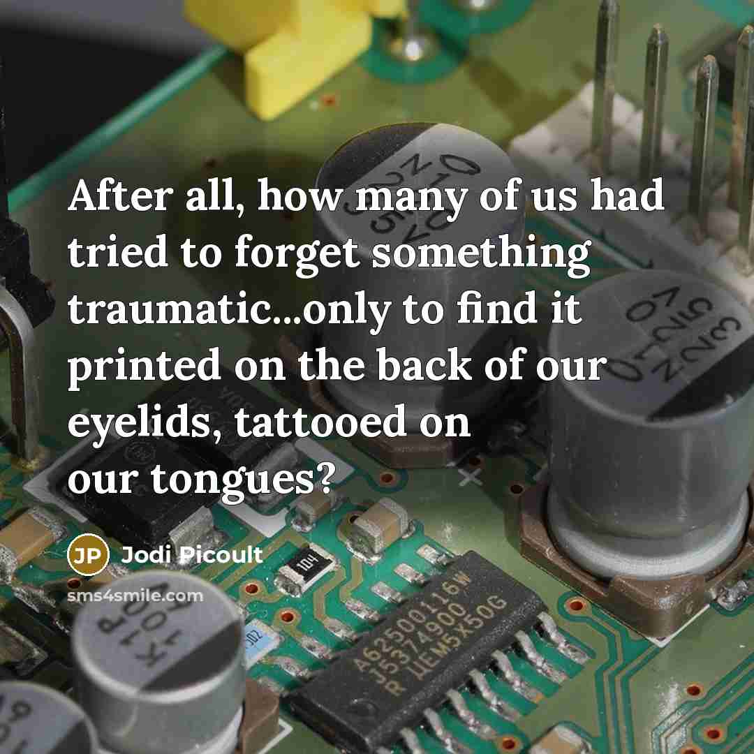 “After all, how many of us had tried to forget…” quote by Jodi Picoult