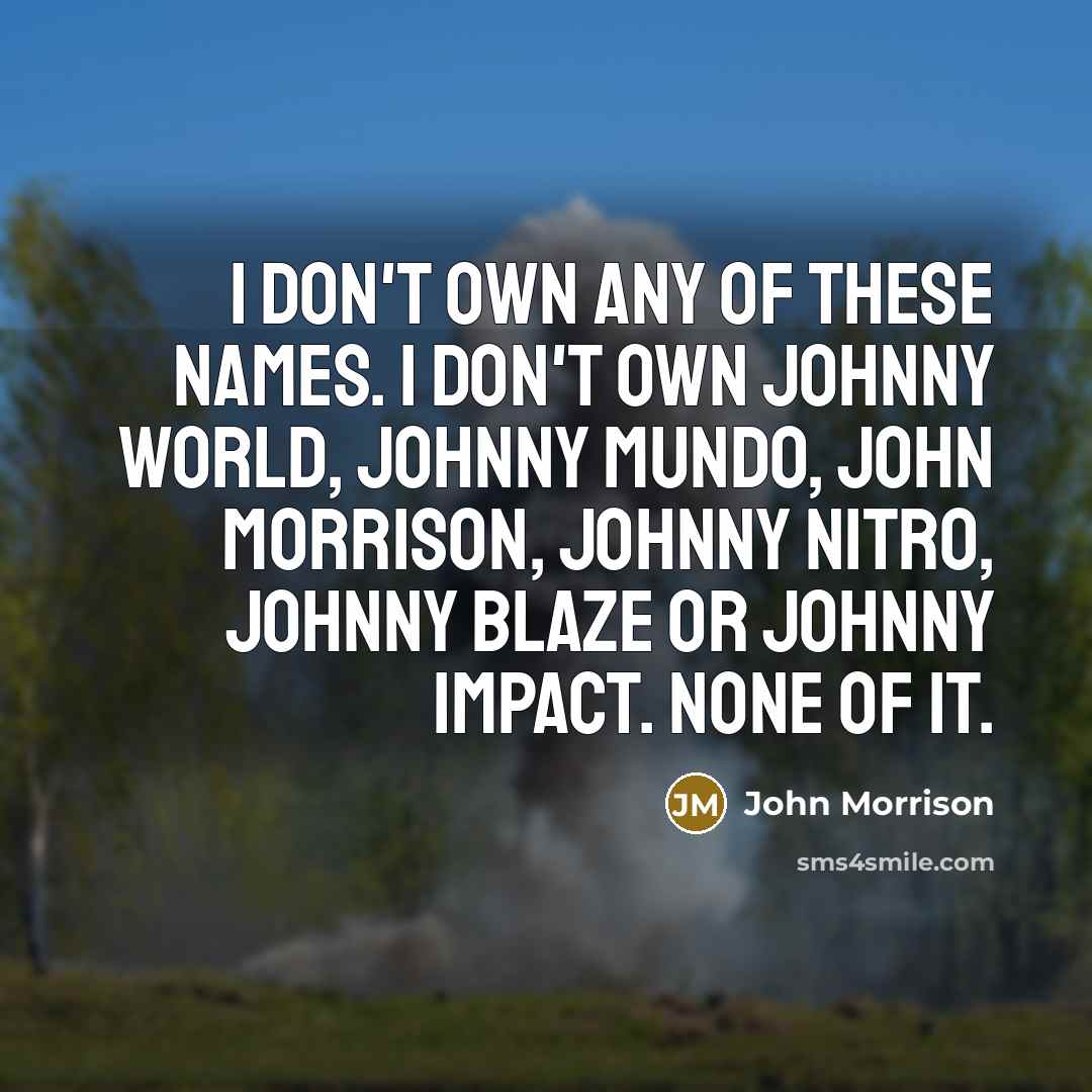 “I don't own any of these names. I don't own…” quote by John Morrison