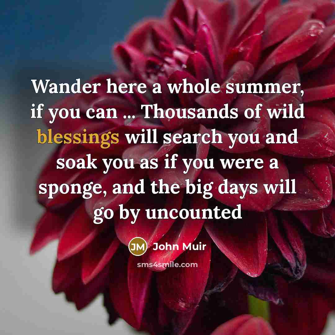 “Wander here a whole summer, if you can ... Thousands…” quote by John Muir