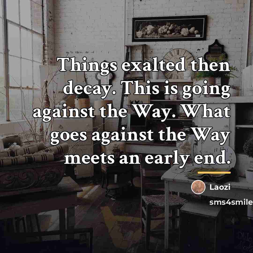 “Things exalted then decay. This is going against the Way.…” quote by Laozi