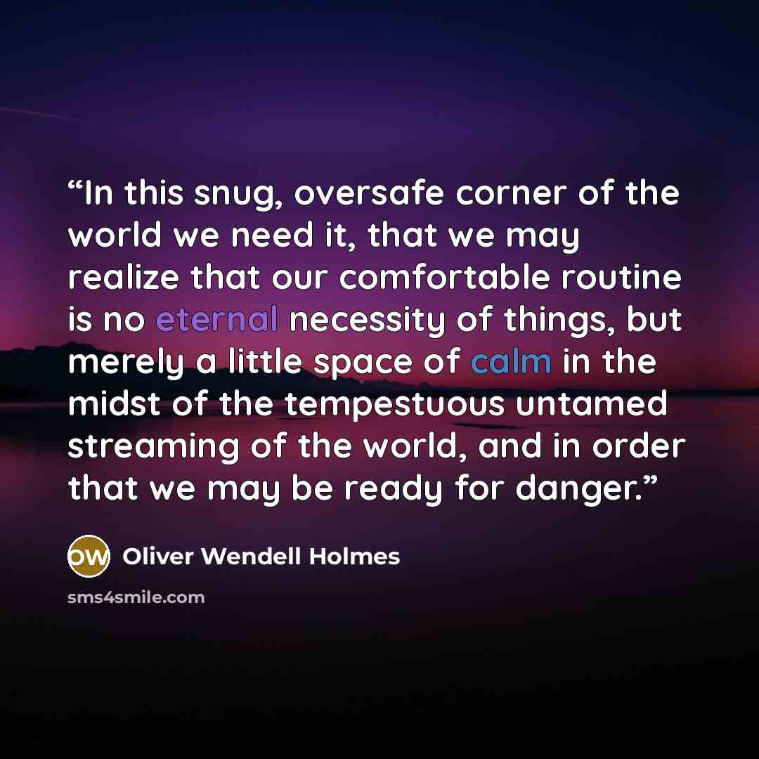 “In this snug, oversafe corner of the world we need it, that we may realize that our comfortable routine is no eternal necessity of things, but merely a little space of calm in the midst of the tempestuous untamed streaming of the world, and in order that we may be ready for danger.” quote by Oliver Wendell Holmes