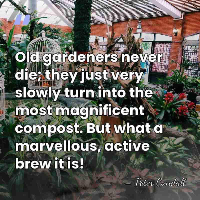Old gardeners never die; they just very slowly turn into the most&hellip; - Peter Cundall