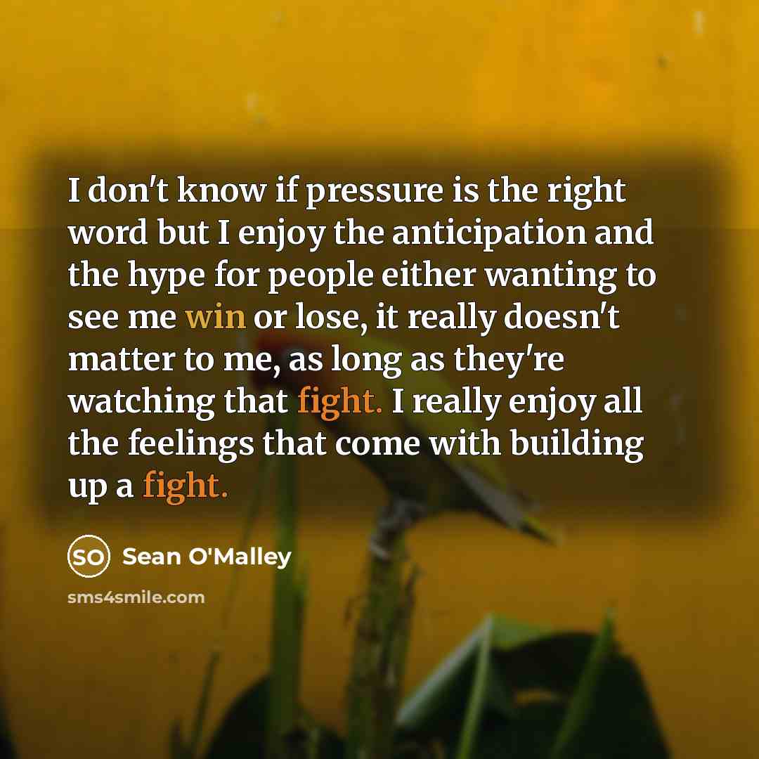 “I don't know if pressure is the right word but…” quote by Sean O'Malley