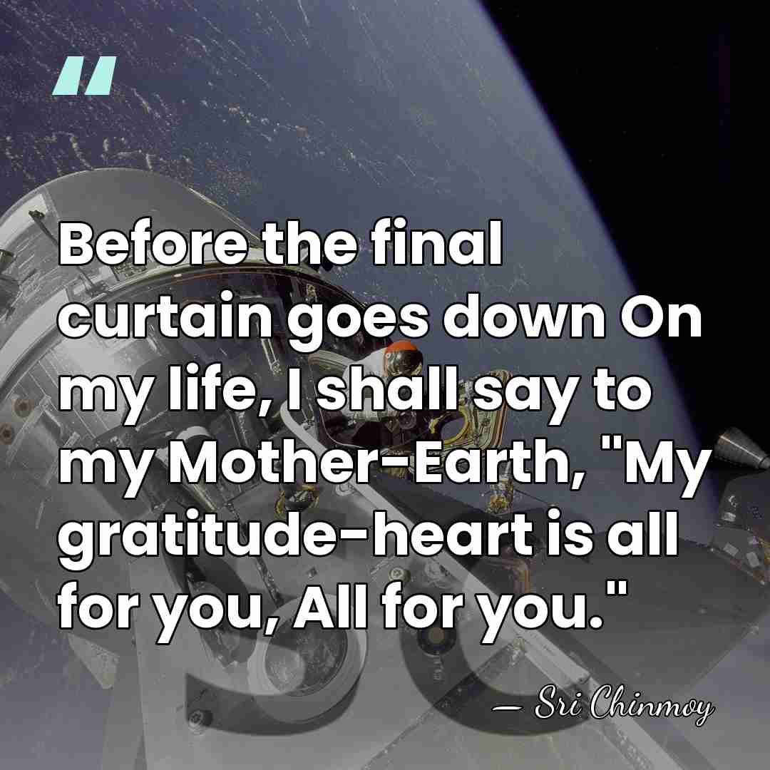 Before the final curtain goes down On my life, I shall say&hellip; - Sri Chinmoy