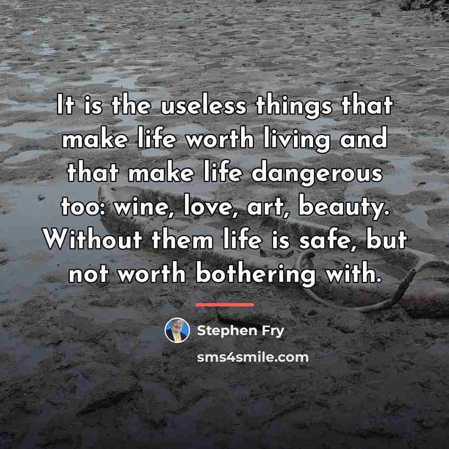 “It is the useless things that make life worth living…” quote by Stephen Fry