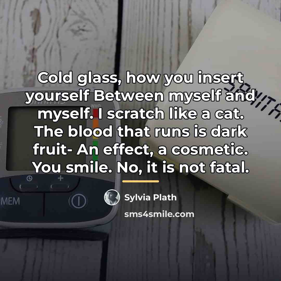 “Cold glass, how you insert yourself Between myself and myself.…” quote by Sylvia Plath