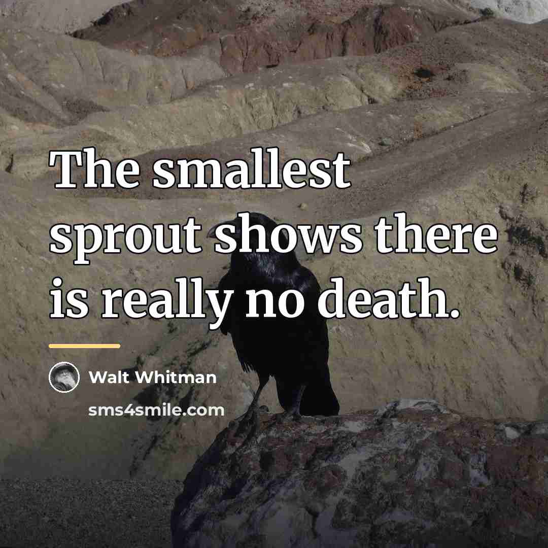 “The smallest sprout shows there is really no death.…” quote by Walt Whitman