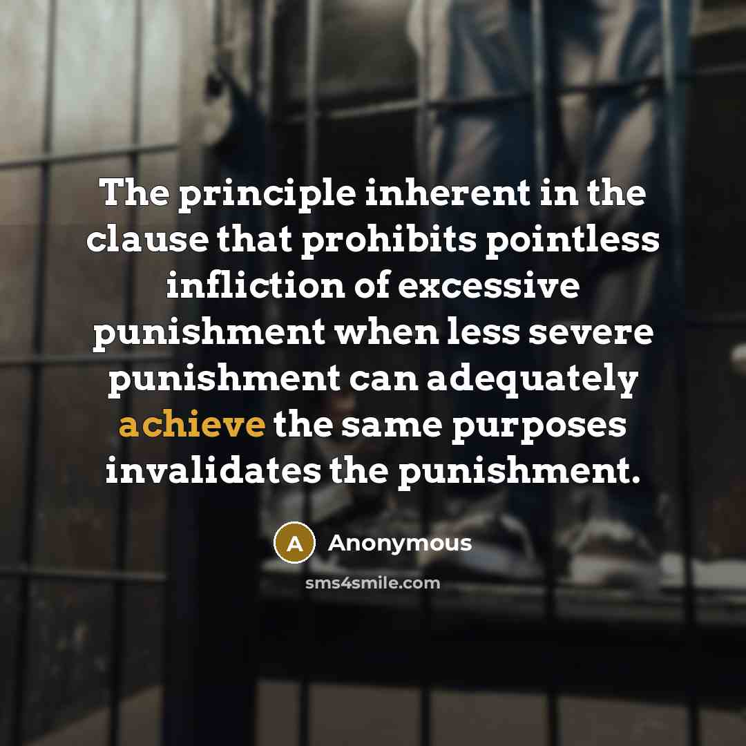 “The principle inherent in the clause that prohibits pointless infliction…” quote by Anonymous