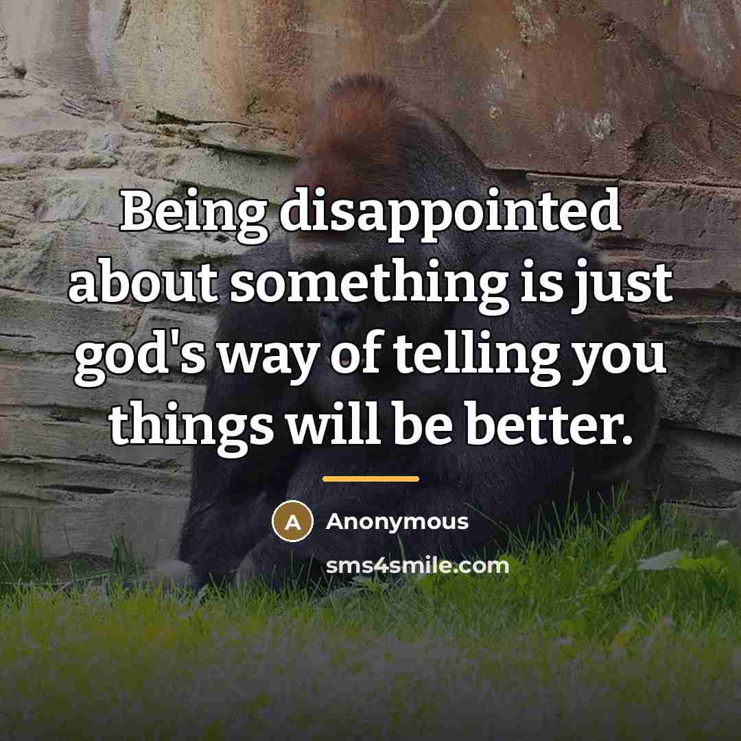 “Being disappointed about something is just god's way of telling…” quote by Anonymous