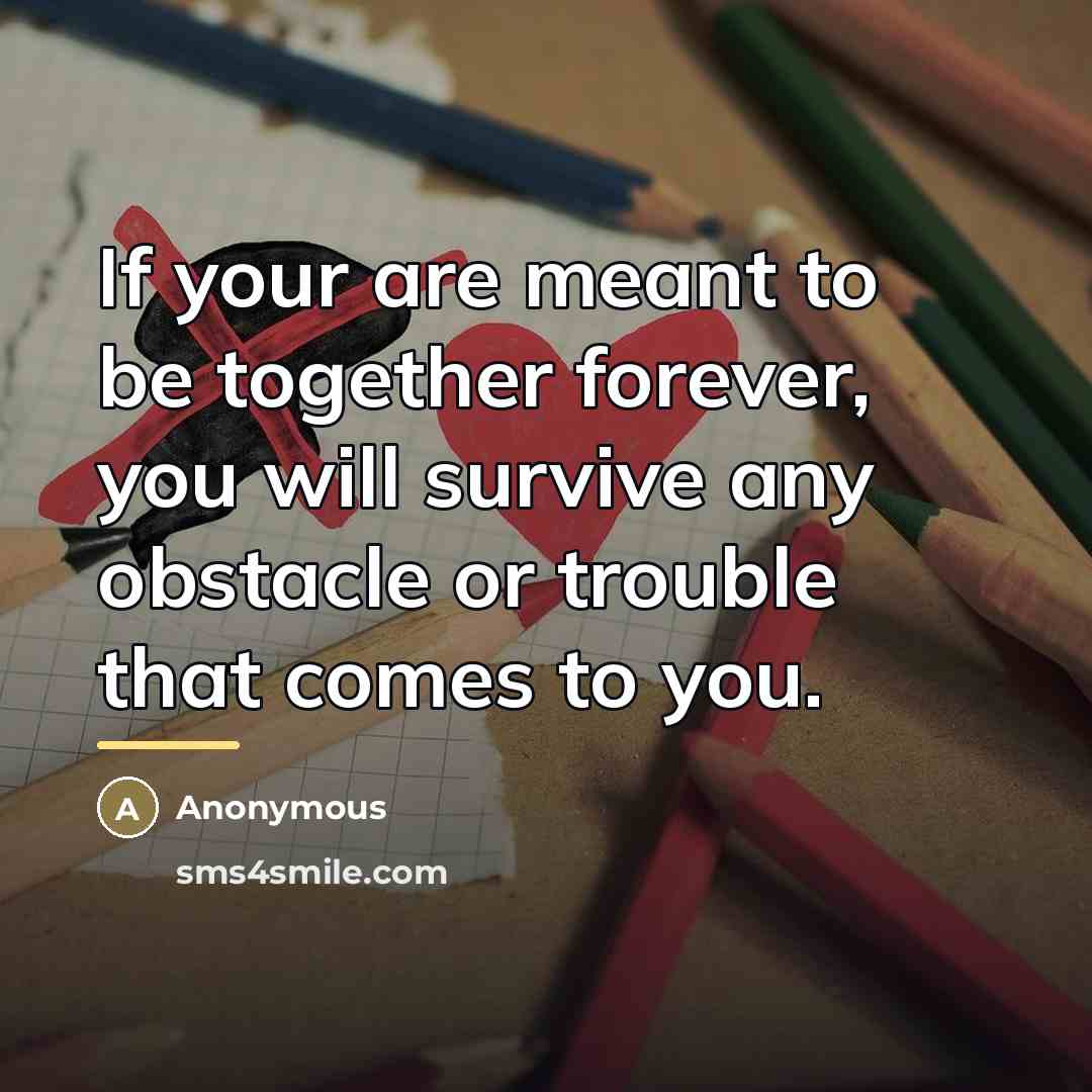 “If your are meant to be together forever, you will…” quote by Anonymous