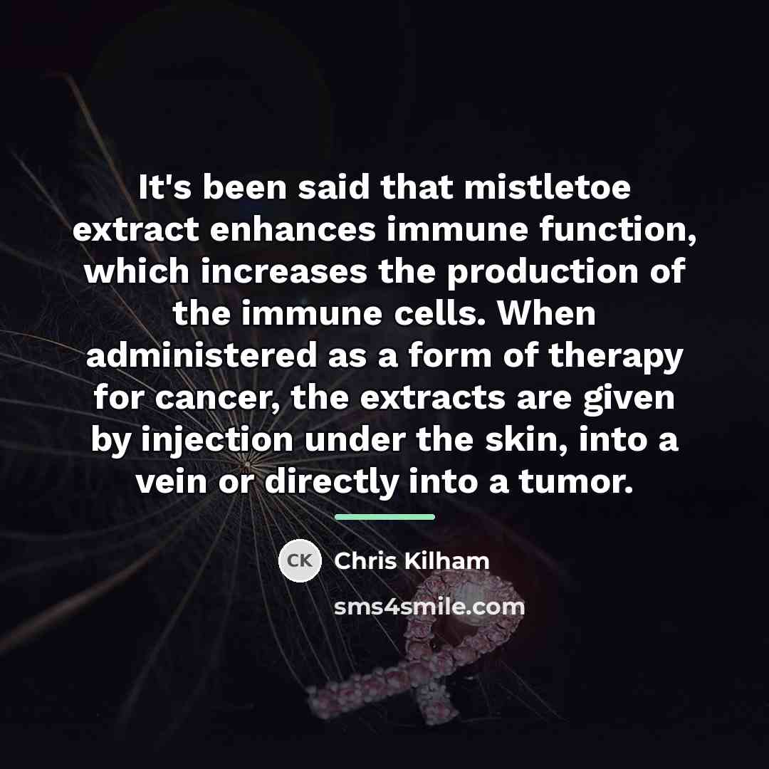 “It's been said that mistletoe extract enhances immune function, which…” quote by Chris Kilham