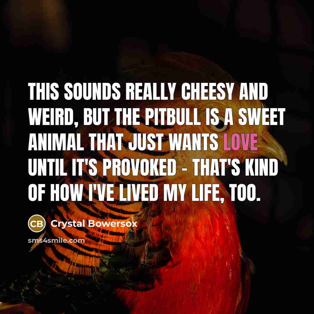 “This sounds really cheesy and weird, but the pitbull is…” quote by Crystal Bowersox