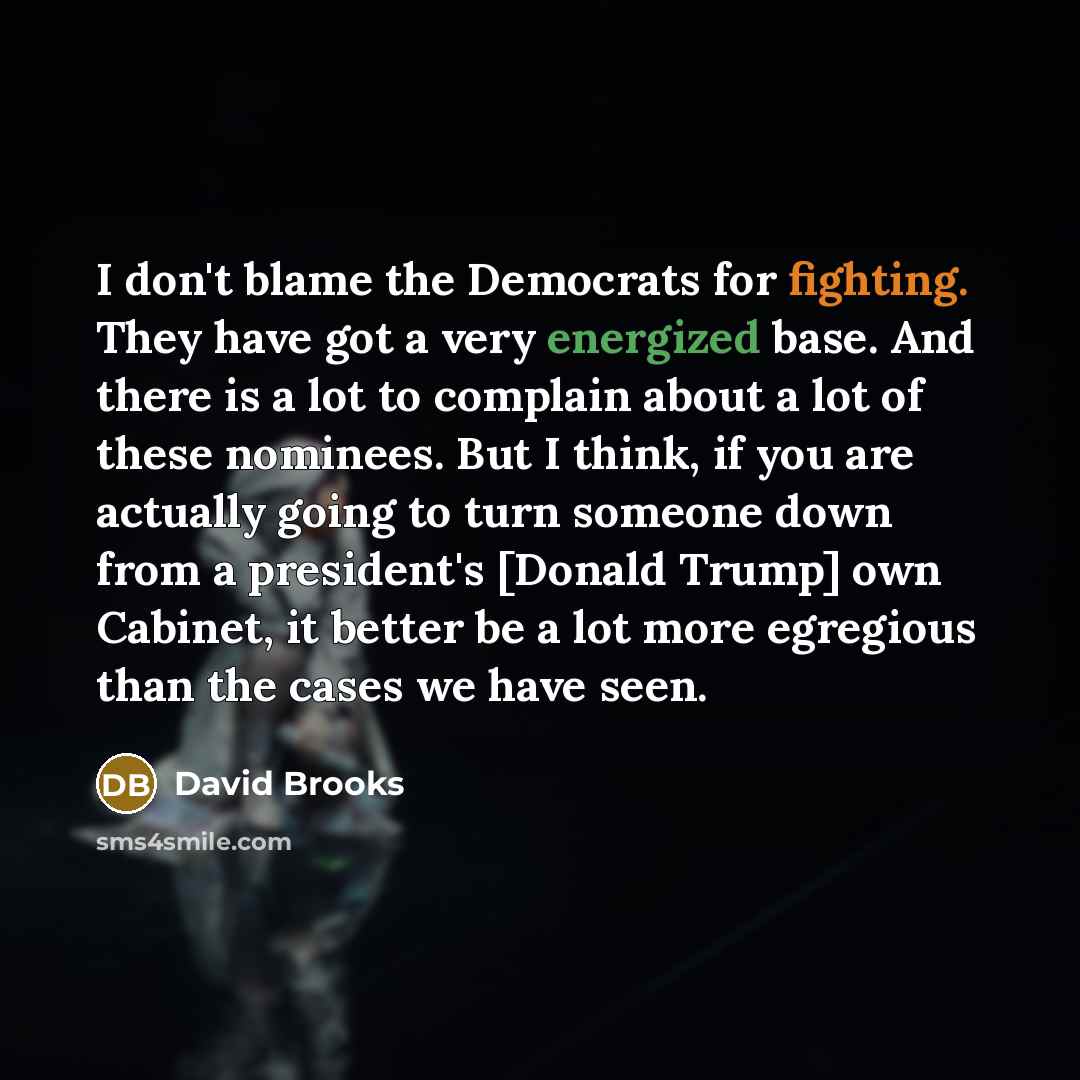 “I don't blame the Democrats for fighting. They have got…” quote by David Brooks