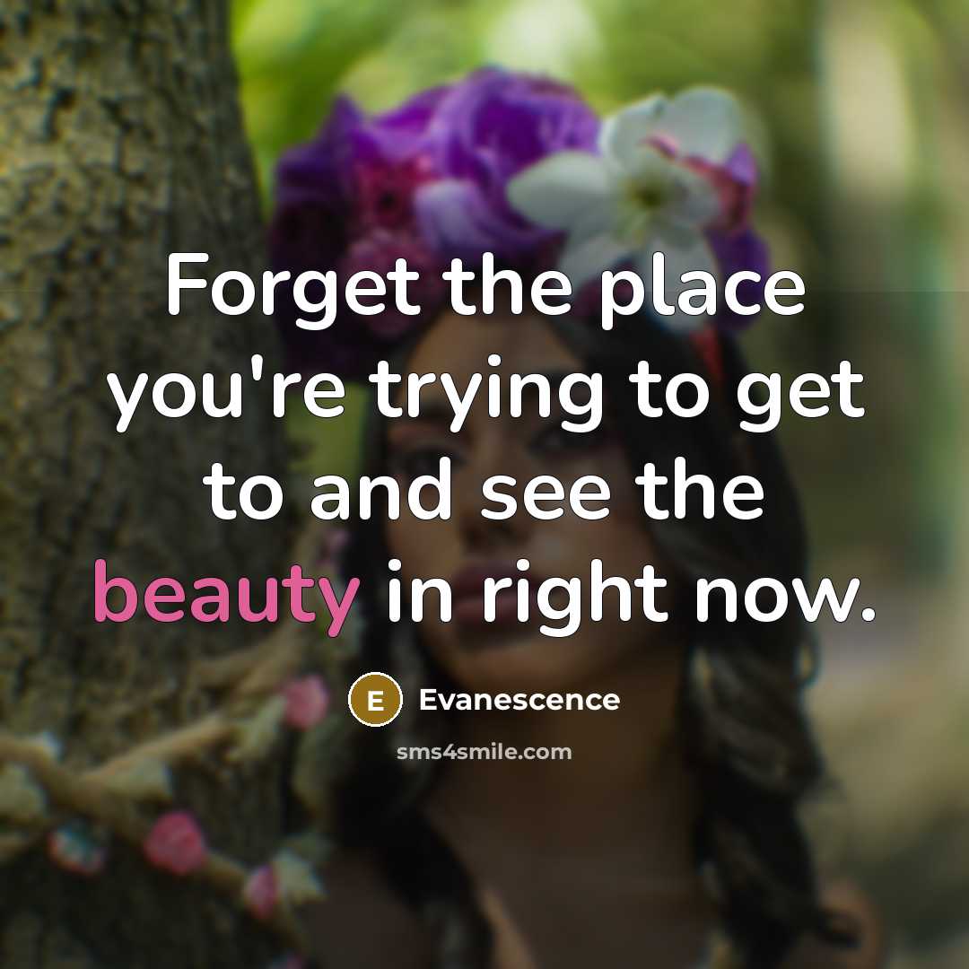 “Forget the place you're trying to get to and see…” quote by Evanescence