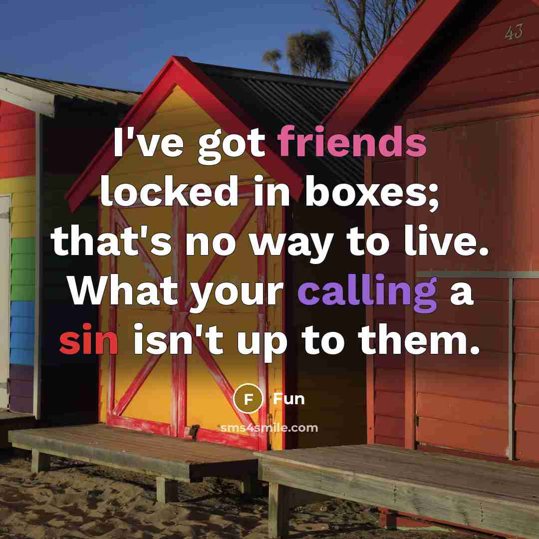“I've got friends locked in boxes; that's no way to live. What your calling a sin isn't up to them.” quote by Fun