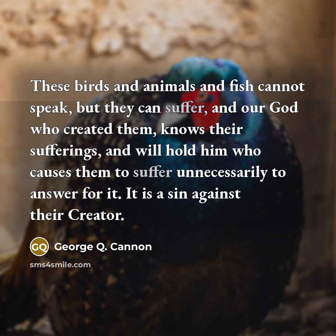 “These birds and animals and fish cannot speak, but they…” quote by George Q. Cannon