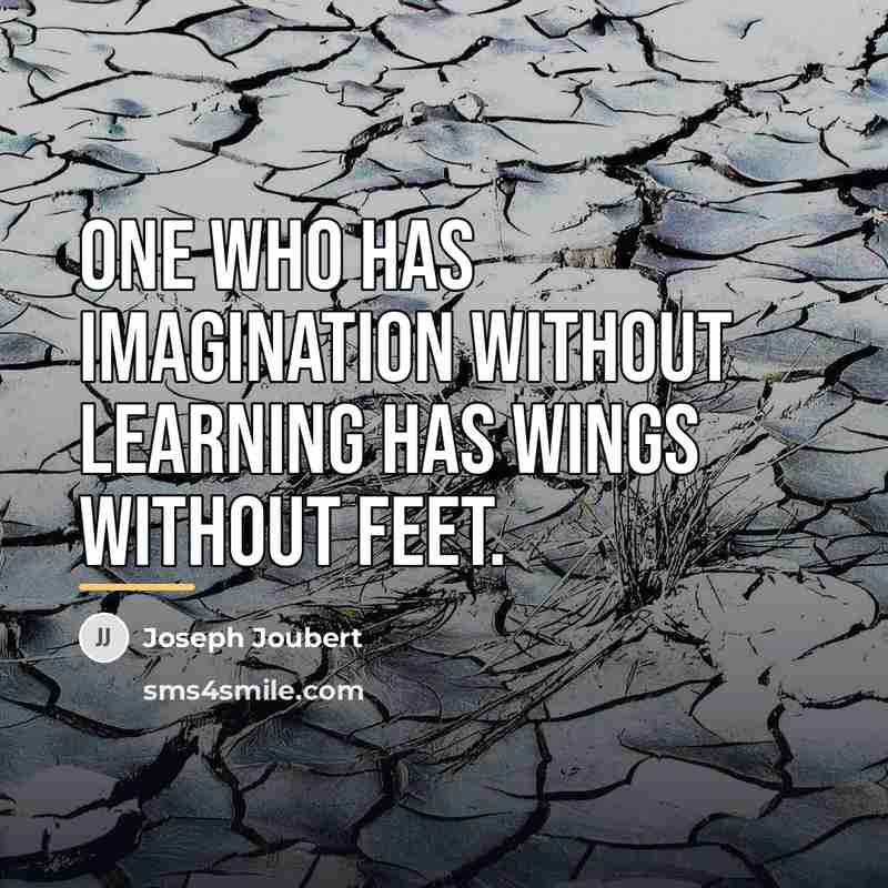 “One who has imagination without learning has wings without feet.…” quote by Joseph Joubert