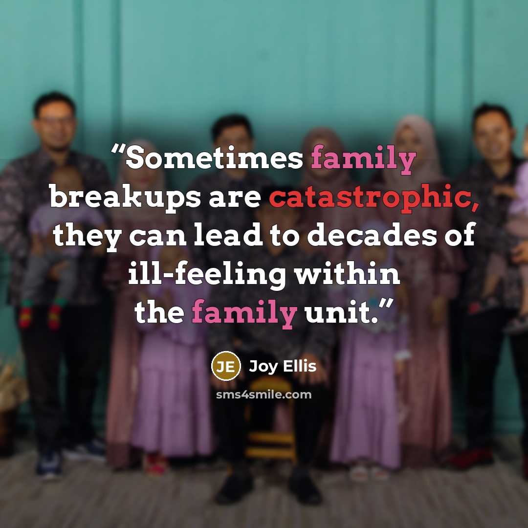 “Sometimes family breakups are catastrophic, they can lead to decades of ill-feeling within the family unit.” quote by Joy Ellis