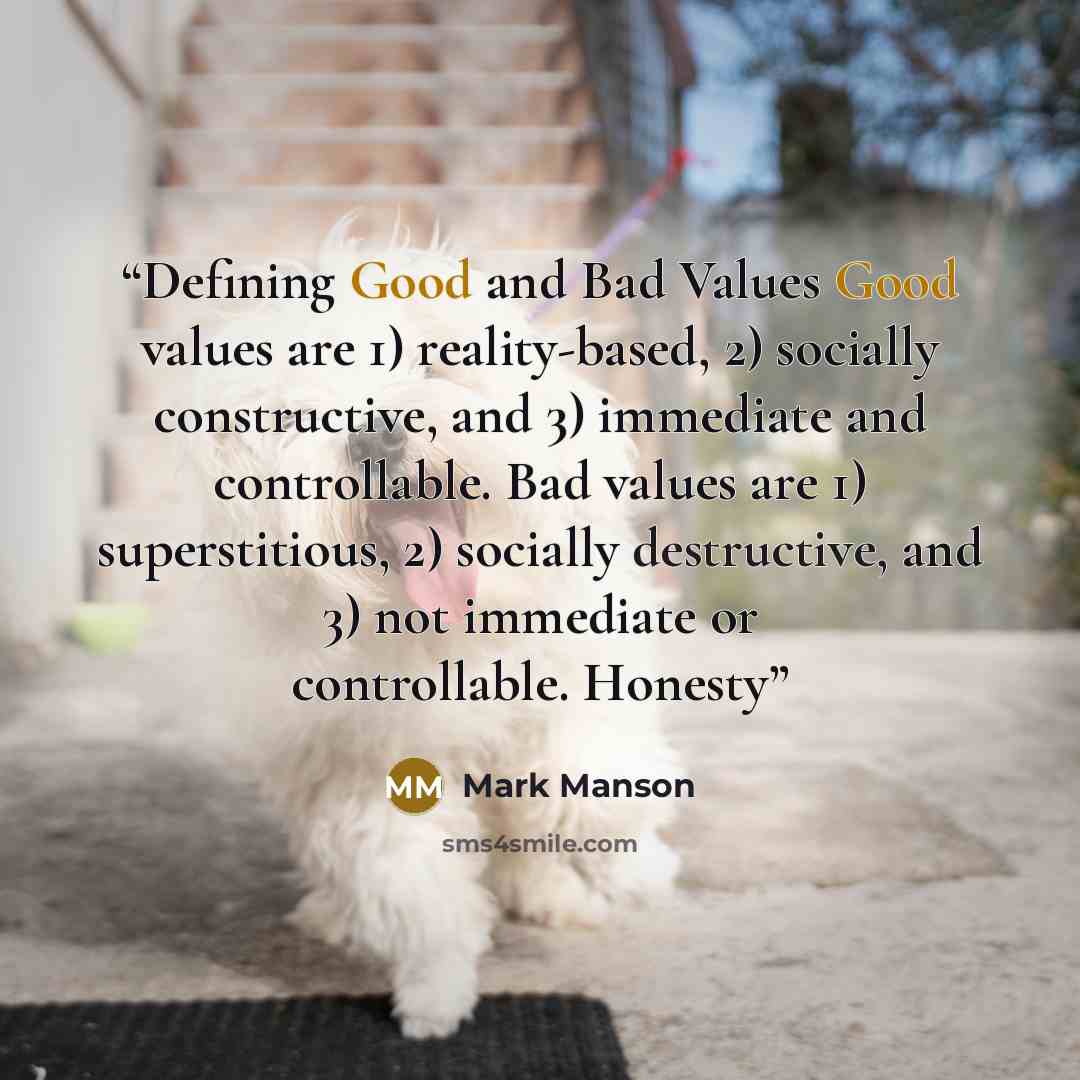 “Defining Good and Bad Values Good values are 1) reality-based, 2) socially constructive, and 3) immediate and controllable. Bad values are 1) superstitious, 2) socially destructive, and 3) not immediate or controllable. Honesty” quote by Mark Manson