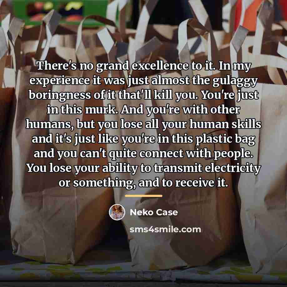 “There's no grand excellence to it. In my experience it…” quote by Neko Case