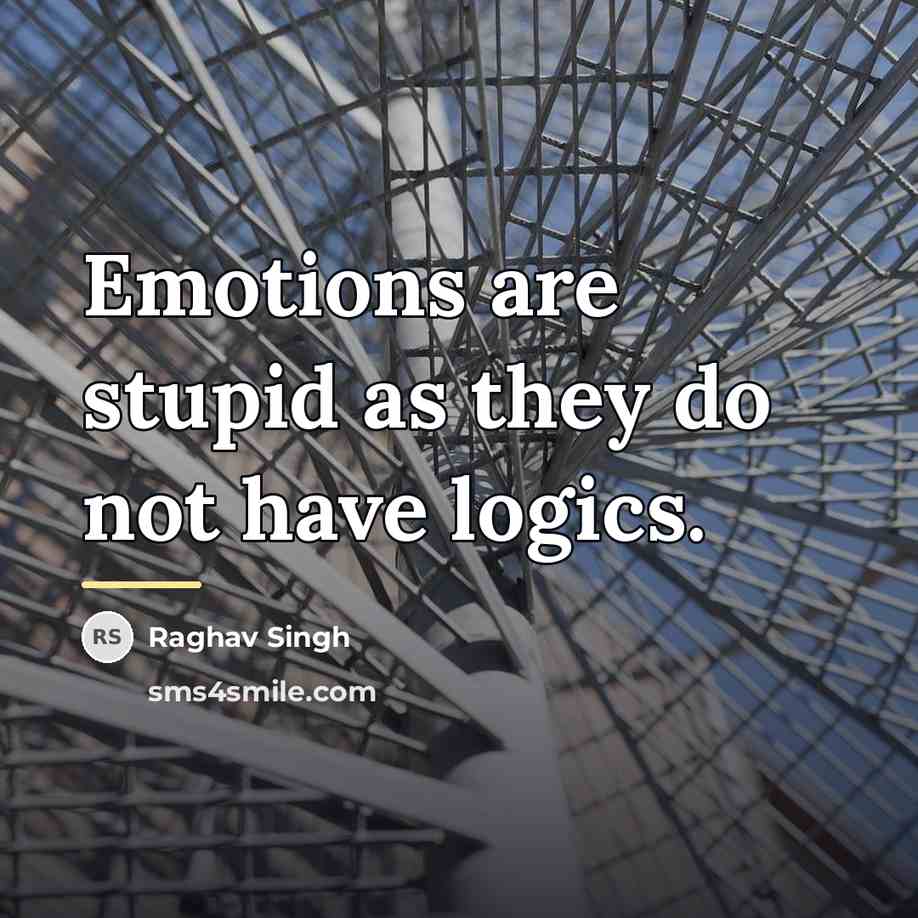 “Emotions are stupid as they do not have logics.…” quote by Raghav Singh