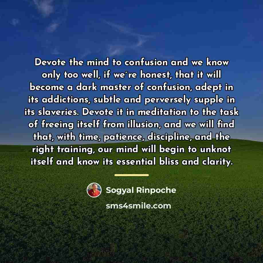 “Devote the mind to confusion and we know only too…” quote by Sogyal Rinpoche