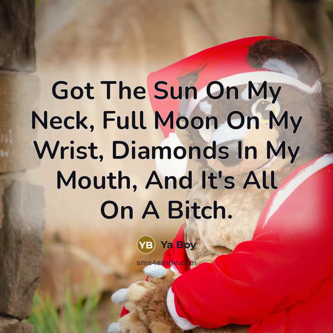 “Got The Sun On My Neck, Full Moon On My Wrist, Diamonds In My Mouth, And It's All On A Bitch.” quote by Ya Boy