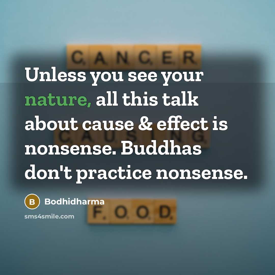 “Unless you see your nature, all this talk about cause…” quote by Bodhidharma