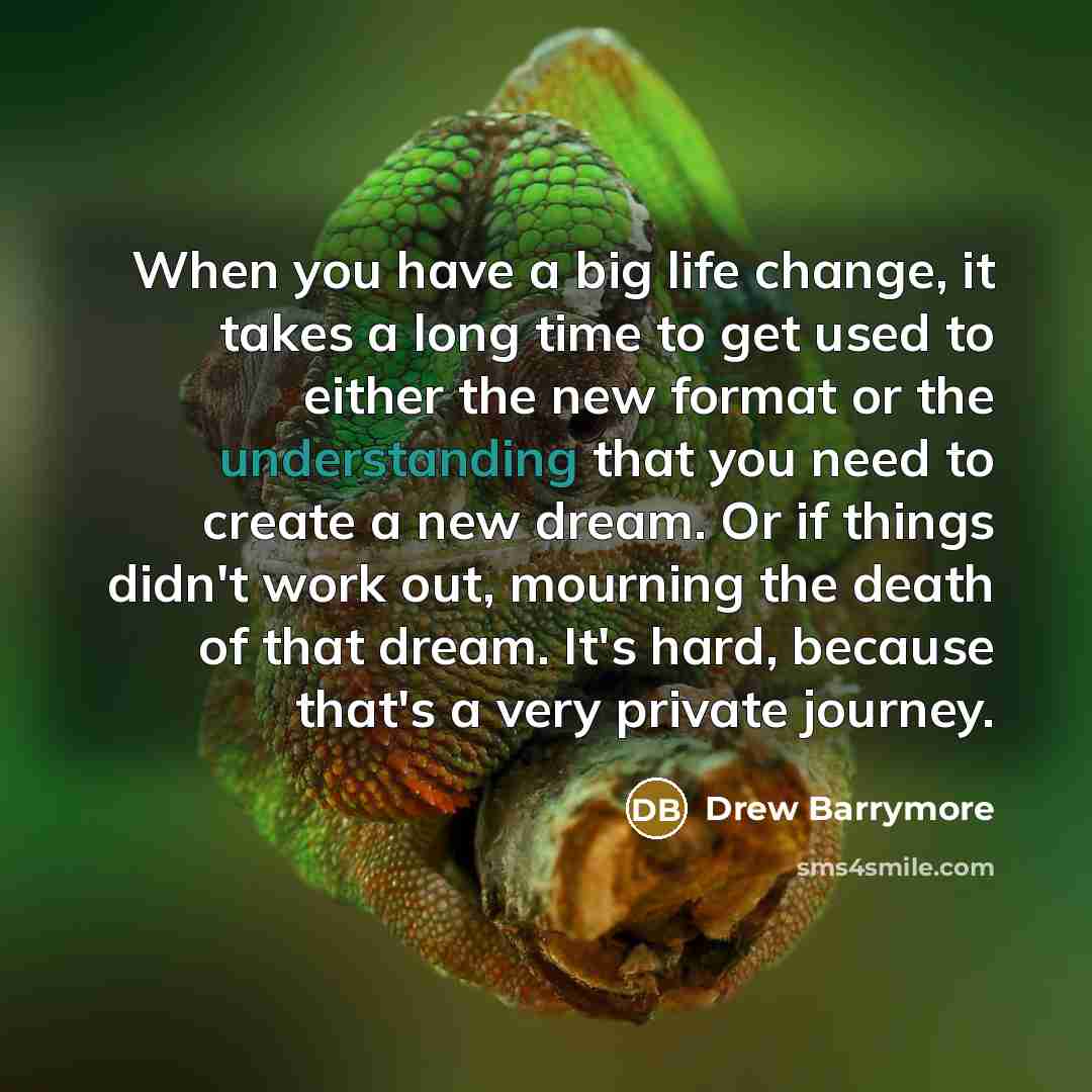 “When you have a big life change, it takes a…” quote by Drew Barrymore