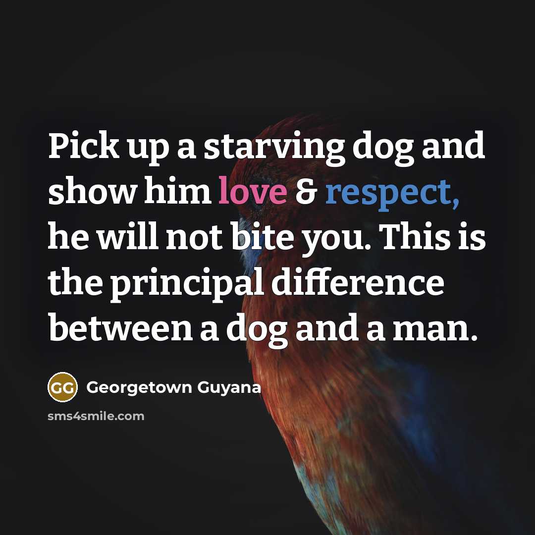 “Pick up a starving dog and show him love & respect, he will not bite you. This is the principal difference between a dog and a man.” quote by Georgetown Guyana