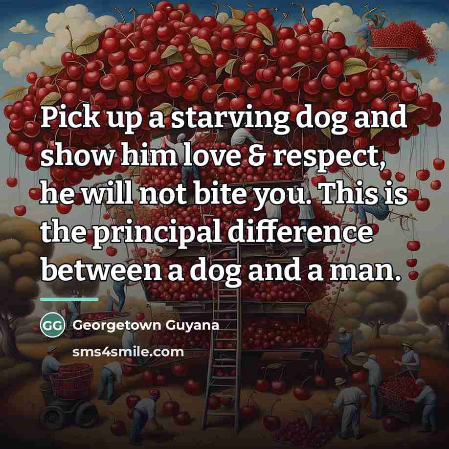 “Pick up a starving dog and show him love &…” quote by Georgetown Guyana